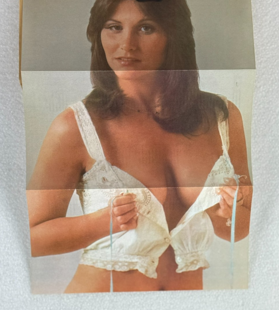 The Intimate Diary of Linda Lovelace 1974 1st Printing w/ Foldout Photo